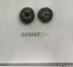 Click for 1 image(s) for this accession. FRUIT